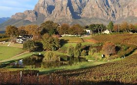 Alluvia Boutique Winery&Luxury Accommodation