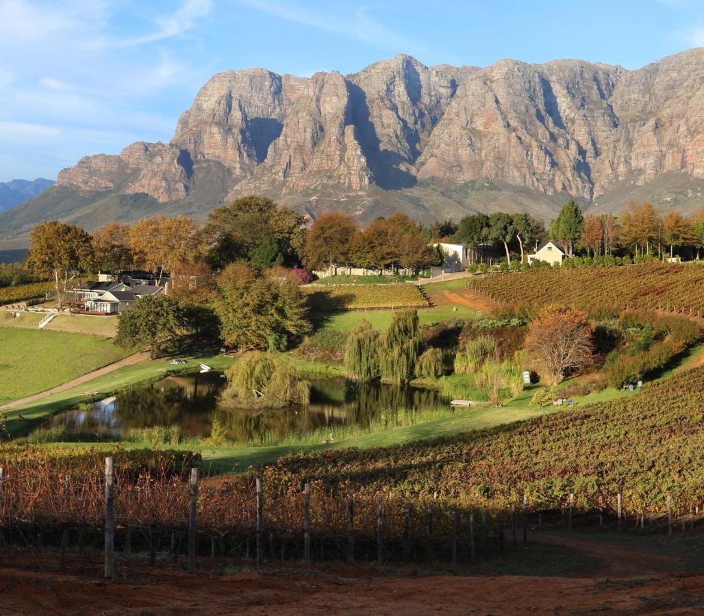 Alluvia Boutique Winery&Luxury Accommodation Stellenbosch Extérieur photo The Paarl Mountain Range