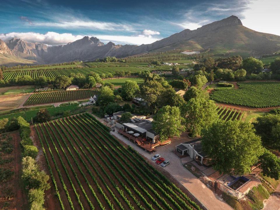 Alluvia Boutique Winery&Luxury Accommodation Stellenbosch Extérieur photo Aerial view of the winery