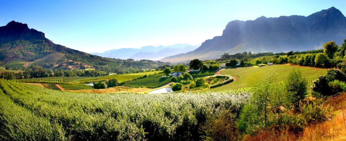 Alluvia Boutique Winery&Luxury Accommodation Stellenbosch Extérieur photo The Paarl Wine Route