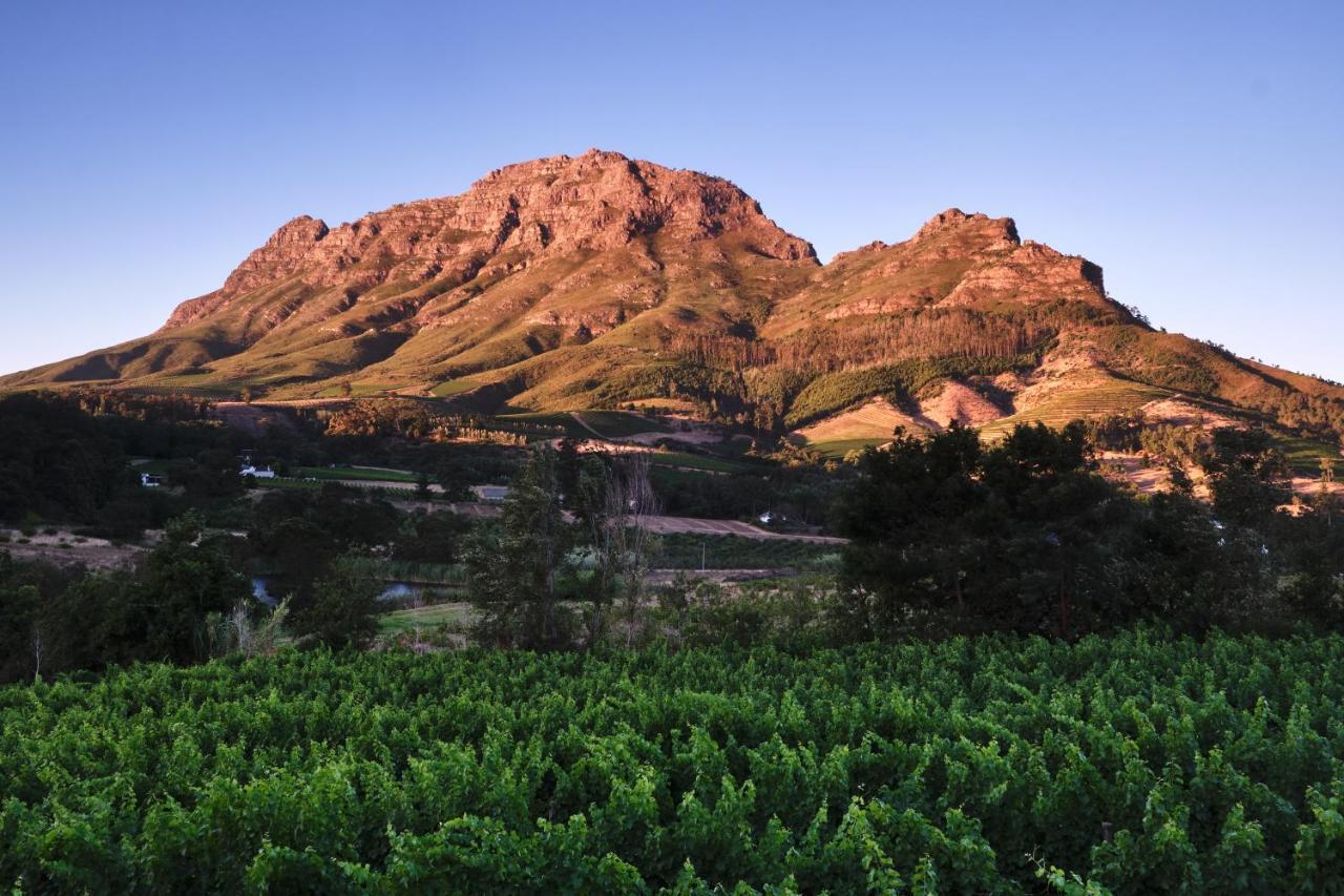 Alluvia Boutique Winery&Luxury Accommodation Stellenbosch Extérieur photo The Paarl Mountain