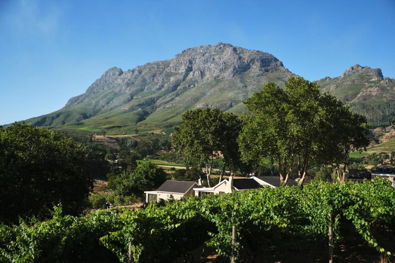 Alluvia Boutique Winery&Luxury Accommodation Stellenbosch Extérieur photo Wine estate in Stellenbosch